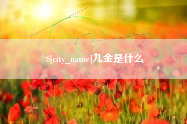 广州九金是什么