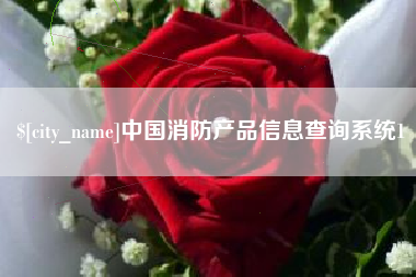 广州中国消防产品信息查询系统1