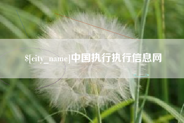 广州中国执行执行信息网