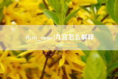 广州九宫怎么解释
