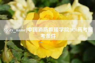 广州中国消防救援学院2020高考报考条件