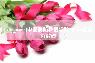 广州中国消防救援学院2021年招生分数线