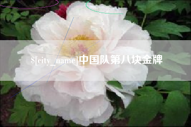 广州中国队第八块金牌