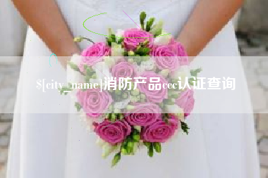 广州消防产品ccc认证查询