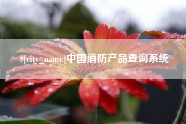 广州中国消防产品查询系统