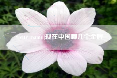 广州现在中国哪几个金牌