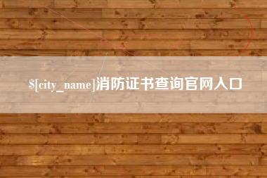 广州消防证书查询官网入口