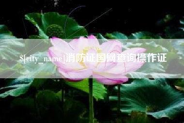 广州消防证国网查询操作证
