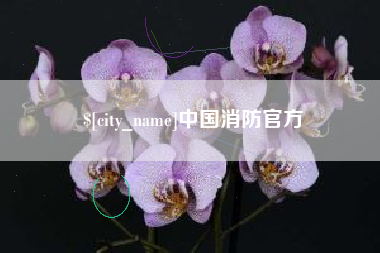广州中国消防官方