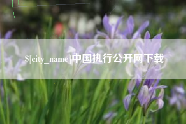 广州中国执行公开网下载