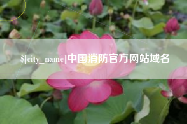 广州中国消防官方网站域名