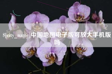 广州中国地图电子版可放大手机版吗