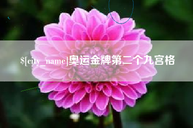 广州奥运金牌第二个九宫格