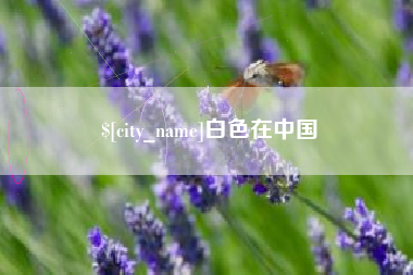 广州白色在中国