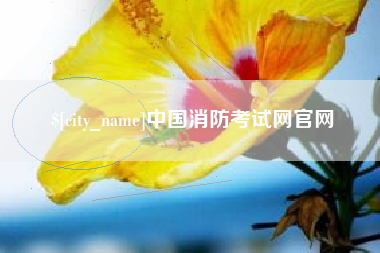 广州中国消防考试网官网