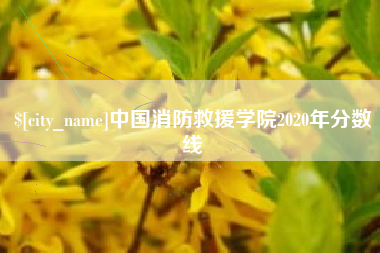 广州中国消防救援学院2020年分数线