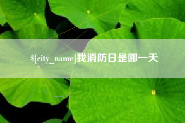 广州我消防日是哪一天