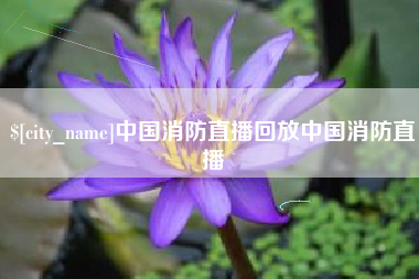 广州中国消防直播回放中国消防直播