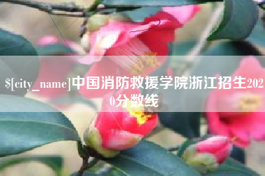 广州中国消防救援学院浙江招生2020分数线