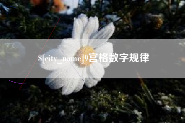 广州9宫格数字规律