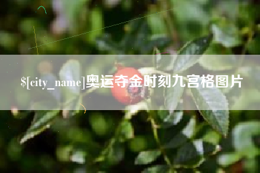 广州奥运夺金时刻九宫格图片