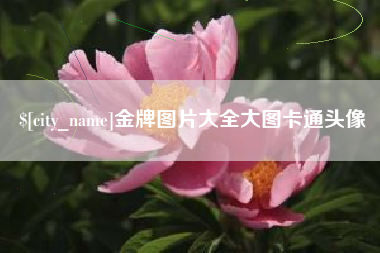 广州金牌图片大全大图卡通头像