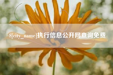 广州执行信息公开网查询免费