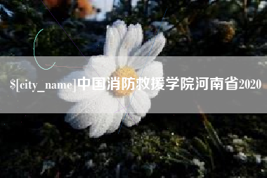 广州中国消防救援学院河南省2020